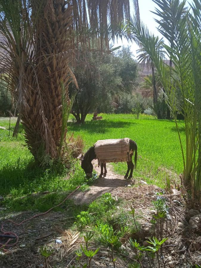 Hotel Dar Jamila Achbarou Exterior foto